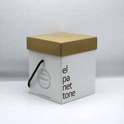 CALDO VEGETAL EN CUBITOS ESTUCHE 60gr.